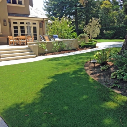 Turf Grass Desert Edge, California Garden Ideas, Backyard Designs