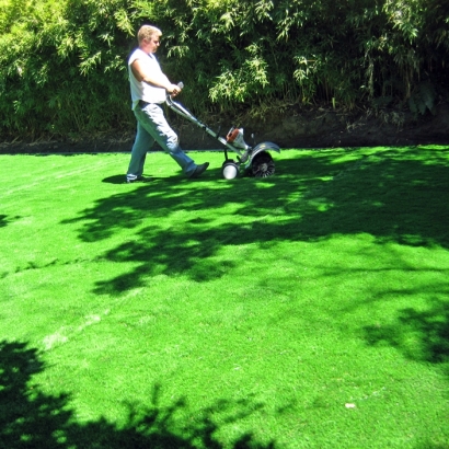 Turf Grass Indian Wells, California Rooftop, Backyard Landscape Ideas