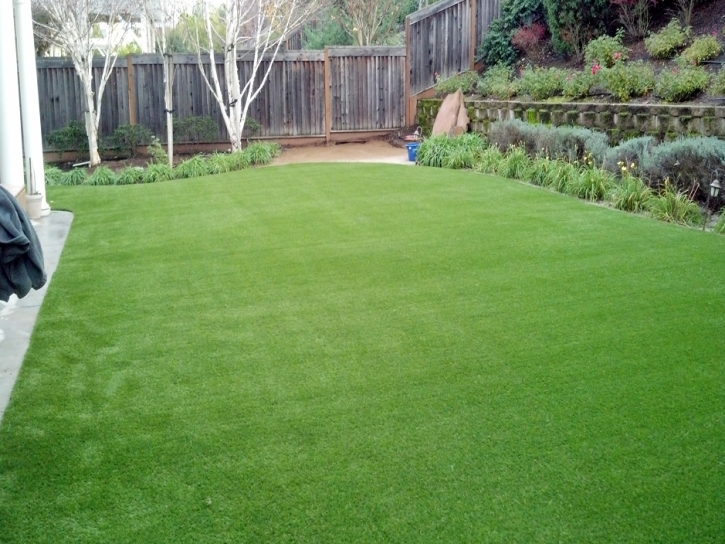 Artificial Grass Alpine Village, California Landscaping, Backyard Makeover