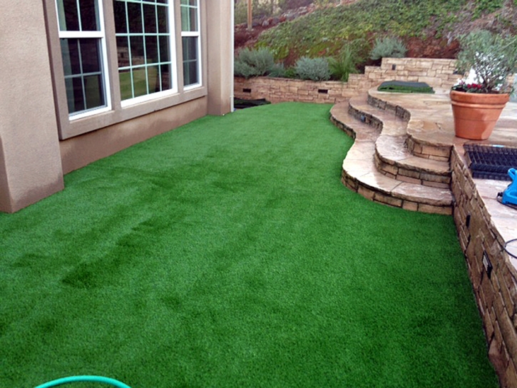 Artificial Grass Canyon Lake, California Rooftop, Backyard Landscaping