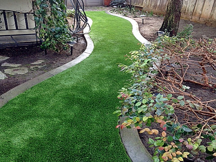 Artificial Grass Carpet Good Hope, California Roof Top, Beautiful Backyards