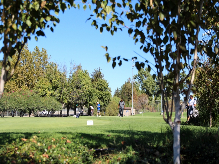 Artificial Grass Carpet Idyllwild, California City Landscape