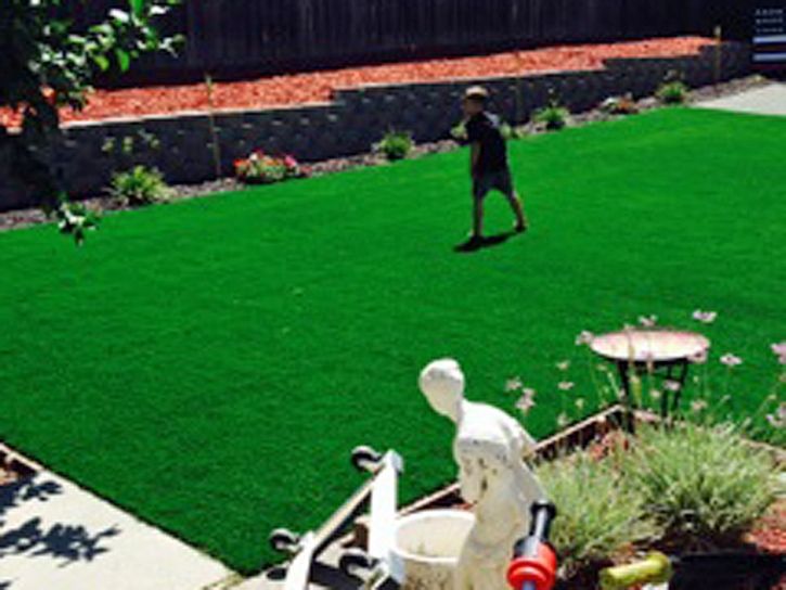 Artificial Grass Carpet Idyllwild, California Landscaping Business, Backyard Landscaping