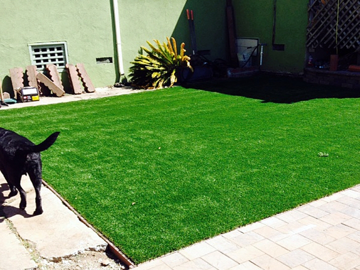 Artificial Grass Carpet Mead Valley, California Pet Grass, Dogs Park