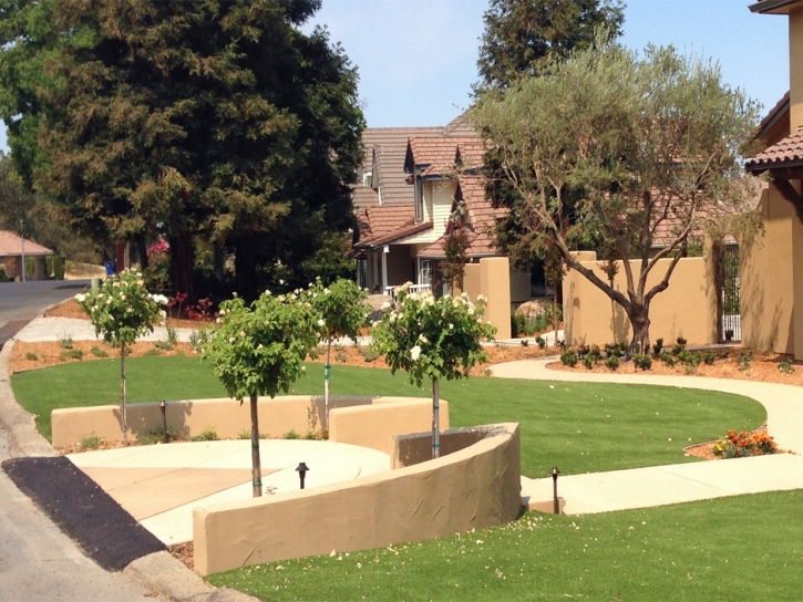 Artificial Grass Carpet Murrieta, California Landscaping Business, Front Yard