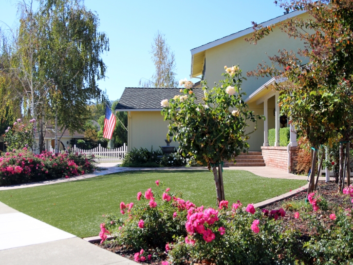 Artificial Grass Carpet Oasis, California Roof Top, Front Yard Design