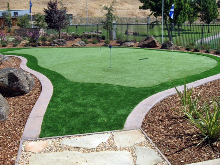 Artificial Grass Desert Edge, California Best Indoor Putting Green, Backyard Garden Ideas