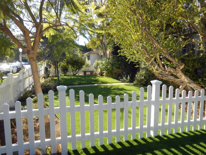 Artificial Grass Hemet, California Rooftop, Landscaping Ideas For Front Yard