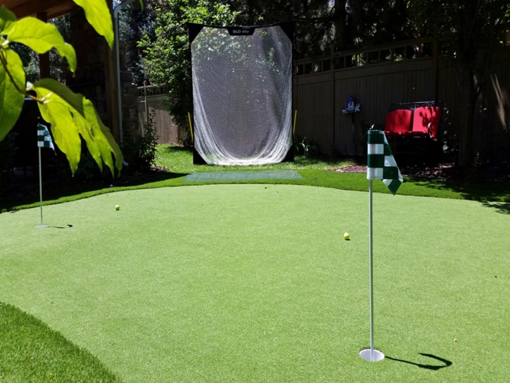 Artificial Grass Indio Hills, California Backyard Playground, Backyard Makeover