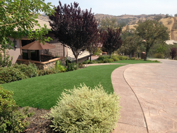 Artificial Grass San Jacinto, California Backyard Deck Ideas, Front Yard Ideas