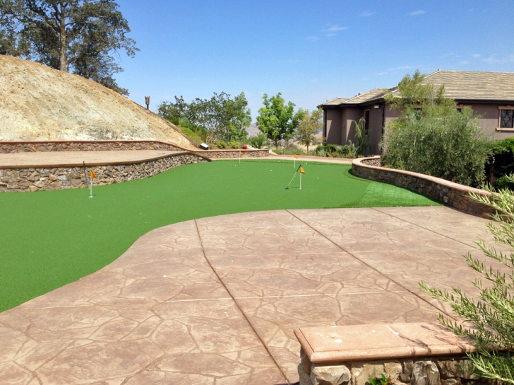 Artificial Grass Sedco Hills, California Putting Green Turf, Backyard Ideas