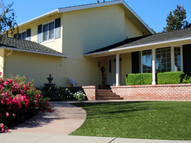 Artificial Grass Sky Valley, California Lawn And Landscape, Front Yard Landscaping Ideas