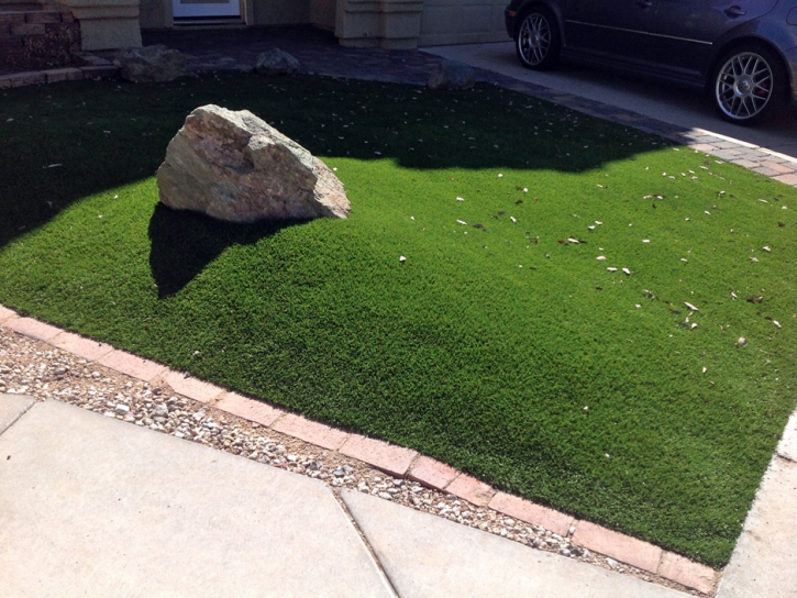 Artificial Lawn Beaumont, California Lawn And Garden