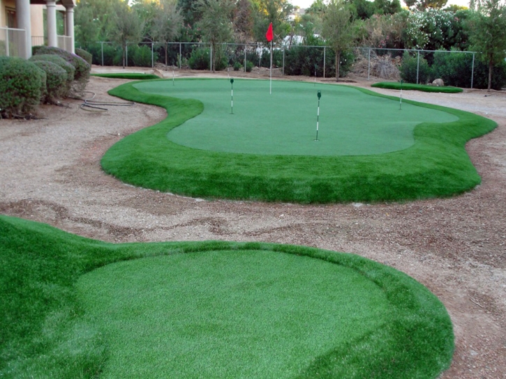 Artificial Lawn Beaumont, California Putting Green Turf, Backyard