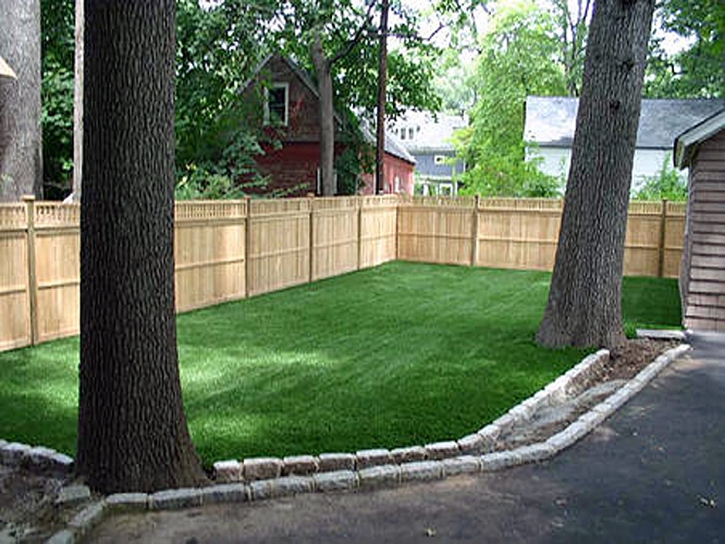 Artificial Lawn Desert Hot Springs, California Drainage, Backyard Landscaping Ideas