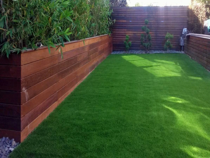 Artificial Lawn Menifee, California Landscape Rock, Backyard Landscaping Ideas