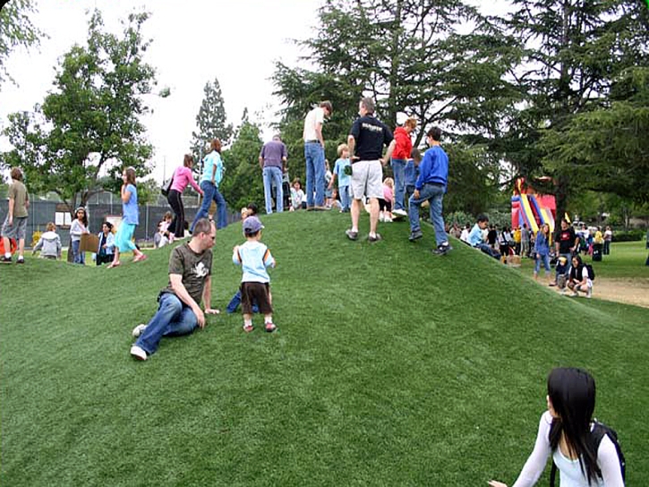 Artificial Lawn Moreno Valley, California Lawns, Parks