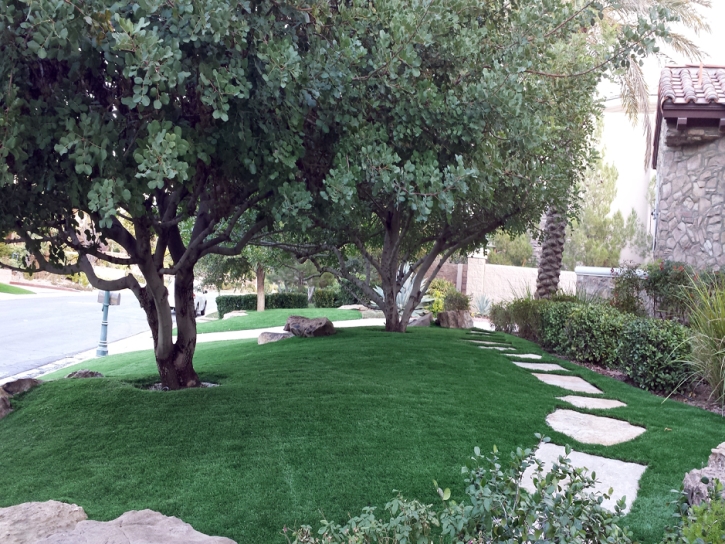 Artificial Lawn Mountain Center, California Lawn And Landscape, Front Yard Landscape Ideas