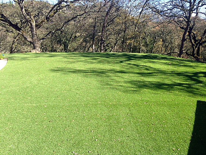 Artificial Lawn Perris, California Lawns, Recreational Areas