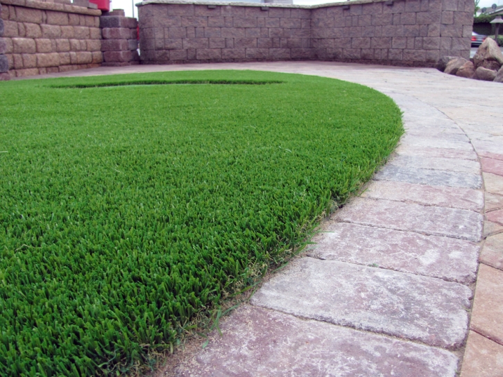 Artificial Lawn Temecula, California Pet Turf, Front Yard Landscaping