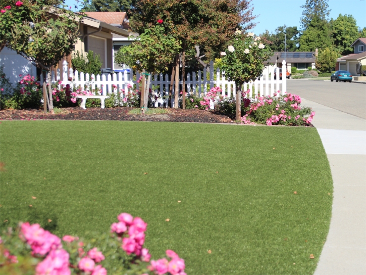 Artificial Lawn Woodcrest, California Lawn And Garden, Front Yard Ideas