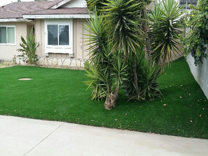 Artificial Turf Aguanga, California Garden Ideas, Front Yard Landscape Ideas