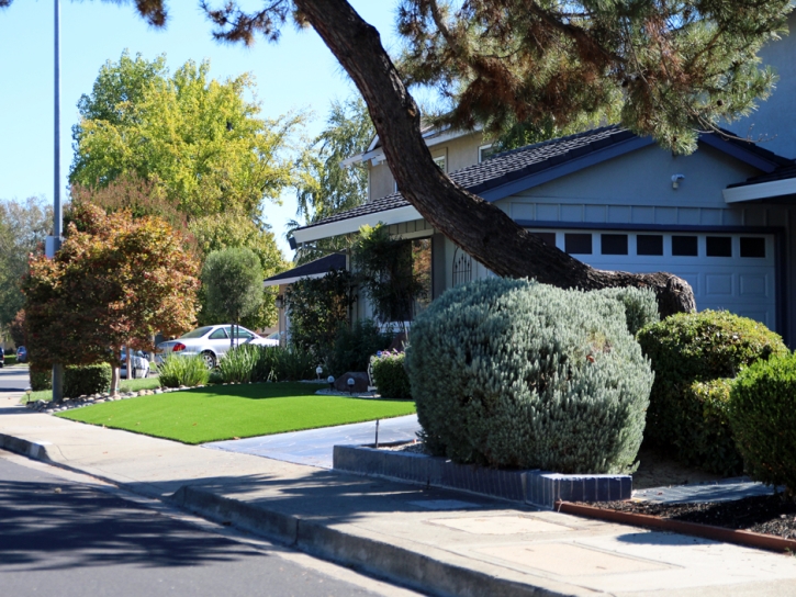 Artificial Turf Alpine Village, California Landscaping Business, Front Yard