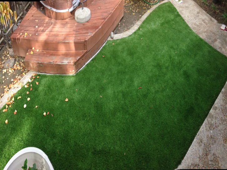 Artificial Turf Blythe, California Gardeners, Backyard Landscape Ideas