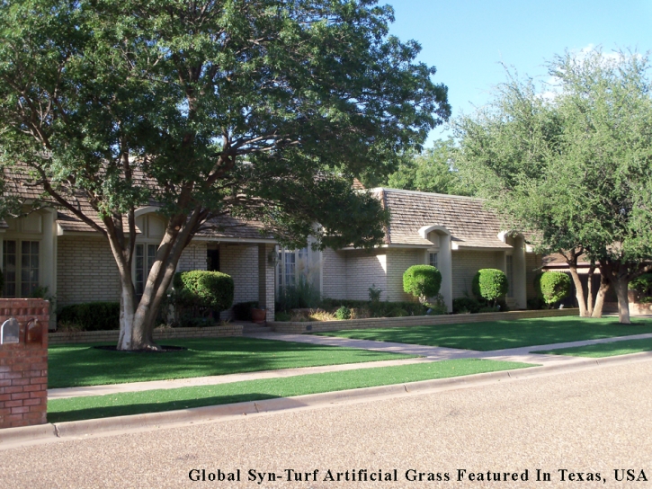 Artificial Turf Canyon Lake, California Landscaping, Front Yard Landscaping