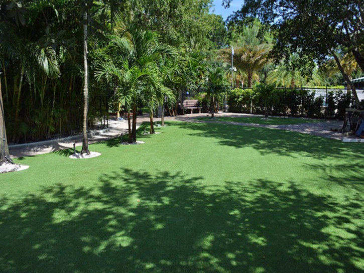 Artificial Turf Corona, California City Landscape, Commercial Landscape