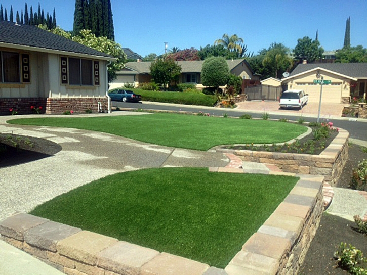 Artificial Turf Cost Anza, California Design Ideas