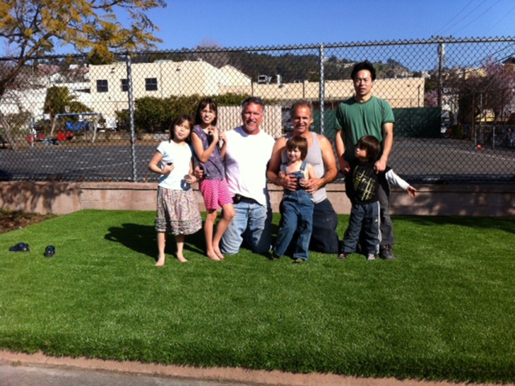 Artificial Turf Cost Banning, California Landscape Design, Commercial Landscape