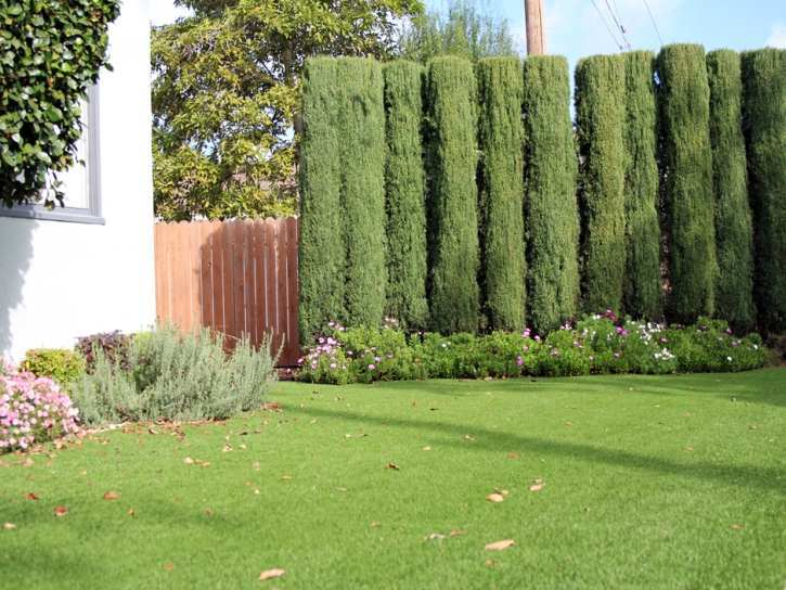 Artificial Turf Cost Moreno Valley, California Design Ideas, Front Yard Design