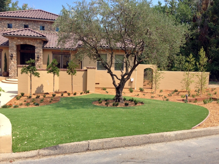 Artificial Turf Cost Moreno Valley, California Lawns, Front Yard Landscape Ideas