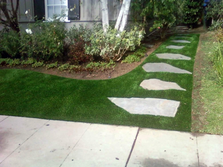 Artificial Turf Cost Winchester, California Rooftop, Front Yard Landscape Ideas