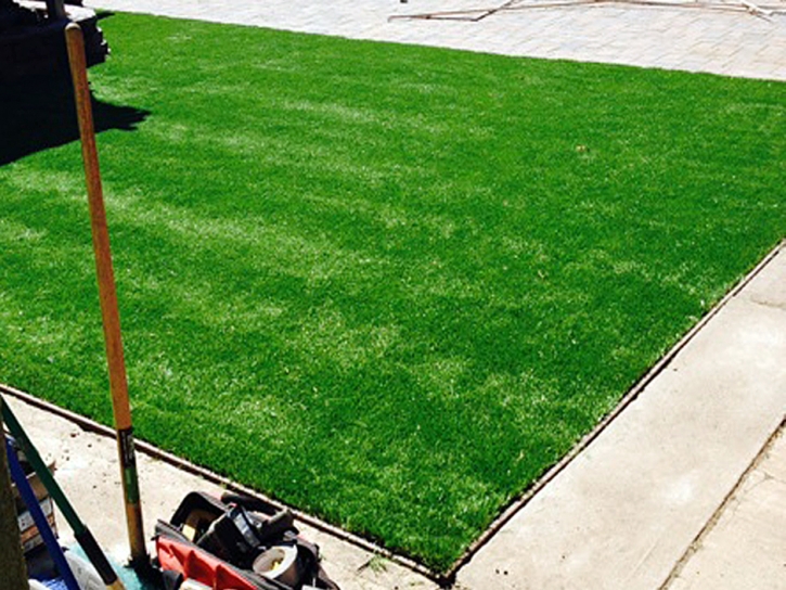 Artificial Turf Mesa Verde, California Landscape Ideas