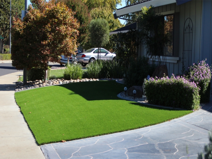 Artificial Turf Mesa Verde, California Design Ideas, Front Yard Landscaping