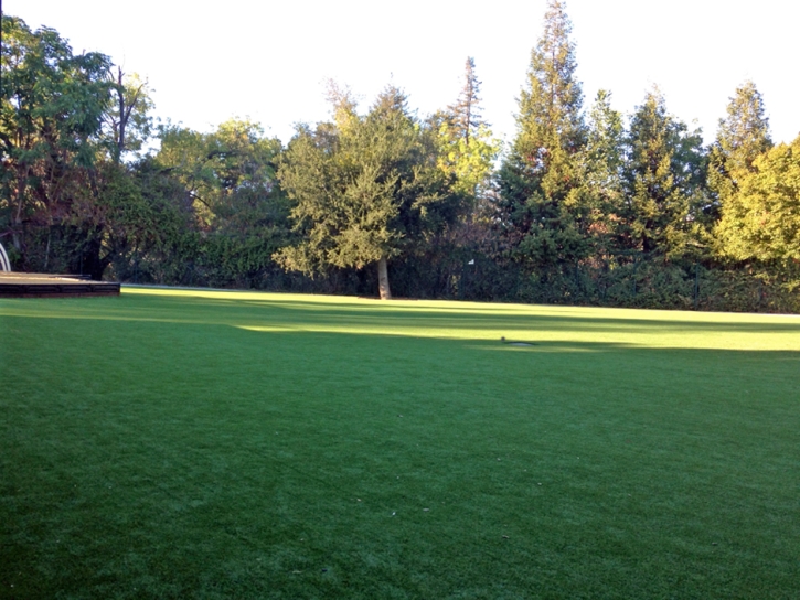 Artificial Turf Romoland, California Landscape Ideas, Recreational Areas