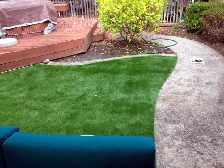 Best Artificial Grass Anza, California Roof Top, Backyard Garden Ideas