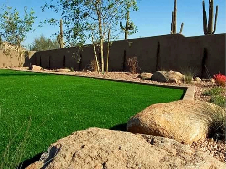 Best Artificial Grass Glen Avon, California City Landscape, Backyard Makeover