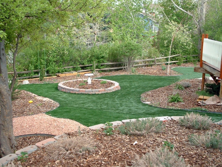 Best Artificial Grass La Quinta, California Landscape Ideas, Backyard Landscaping Ideas