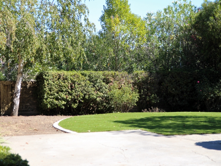 Best Artificial Grass Palm Desert, California Backyard Playground, Backyard