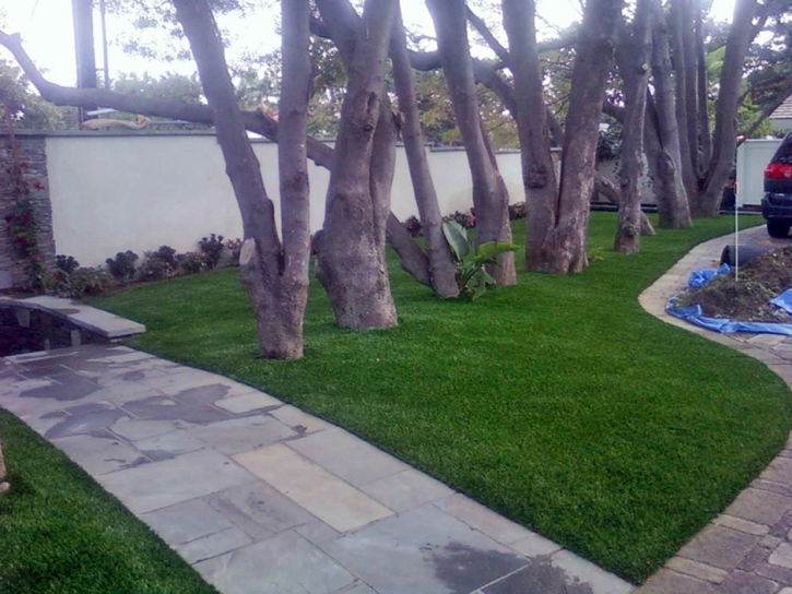 Best Artificial Grass Romoland, California Landscape Ideas, Front Yard Design