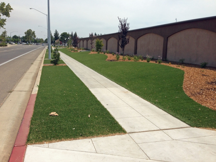 Best Artificial Grass Valle Vista, California Landscaping, Commercial Landscape