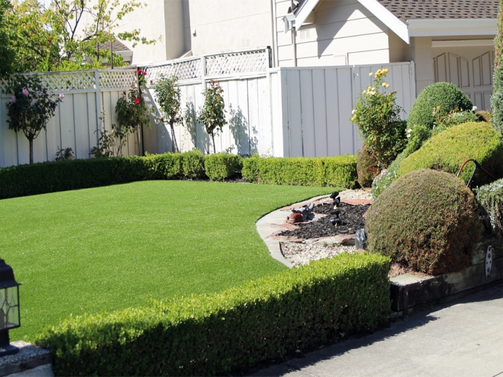 Best Artificial Grass Wildomar, California Landscape Photos, Landscaping Ideas For Front Yard