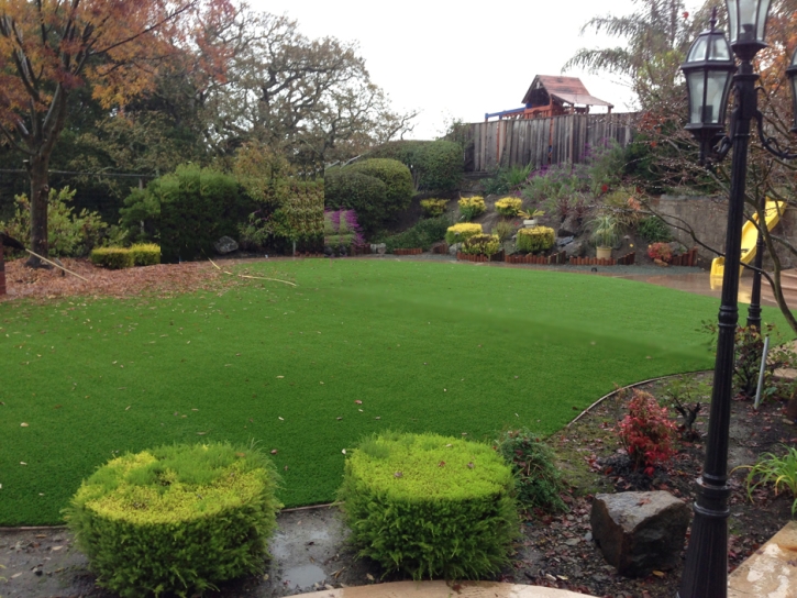 Best Artificial Grass Woodcrest, California Lawn And Garden, Backyard