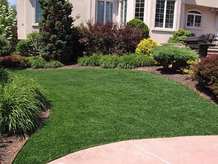 Fake Grass Anza, California Landscaping Business, Front Yard