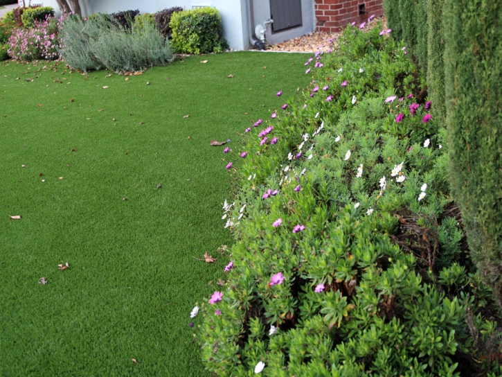 Fake Grass Canyon Lake, California Landscape Rock, Front Yard Design