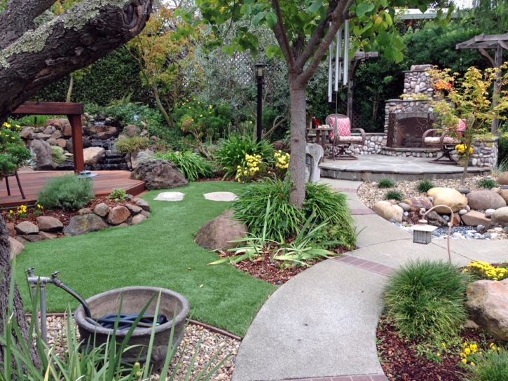 Fake Grass Carpet Blythe, California Design Ideas, Backyard Landscaping