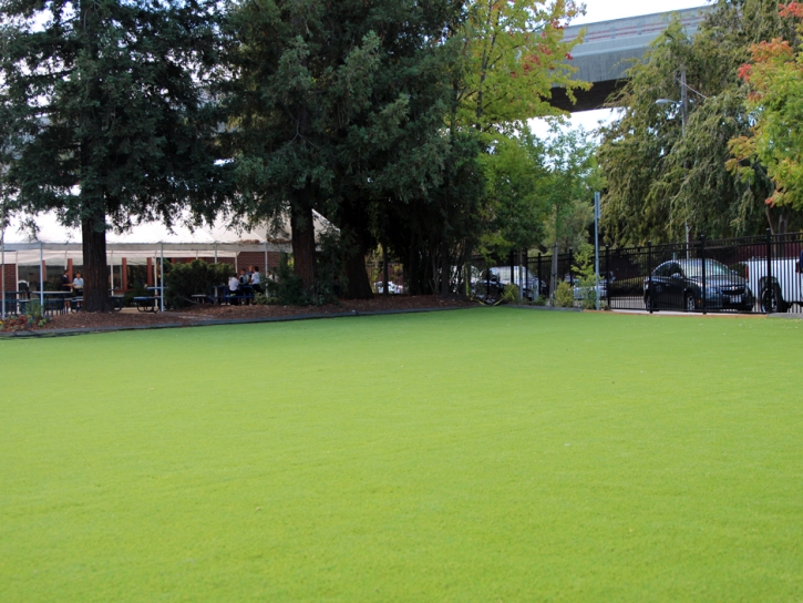 Fake Grass Carpet Cathedral City, California Landscape Design, Commercial Landscape